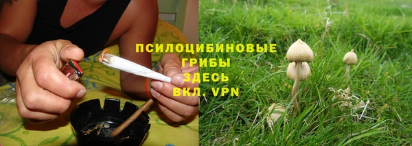 твердый Покачи